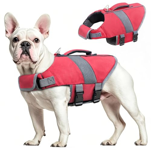 Oslueidy Chaleco Salvavidas para Perros Chaleco Salvavidas para Tiburones de Alta Flotabilidad Chaleco Salvavidas para Perros Chaleco Seguridad Bote Natación Kayak Surf Bañador (Rot, XS)