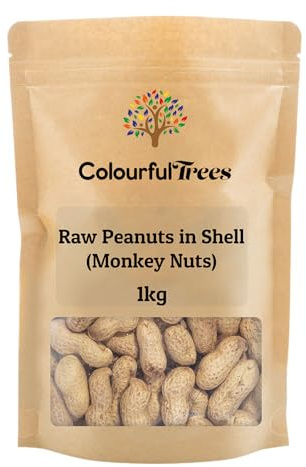 Raw Peanuts in Shell (Monkey Nuts) 1kg by Colourful Trees