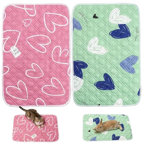 Gubilacrum 2 Pcs 50x70cm Guinea Pig Cage Liner, Reusable Small Animal Bedding, Washable Pet Training Mat for Cages and Floors, Cage Liner Pads for Chinchillas Hamster Rabbit (Green and Pink)