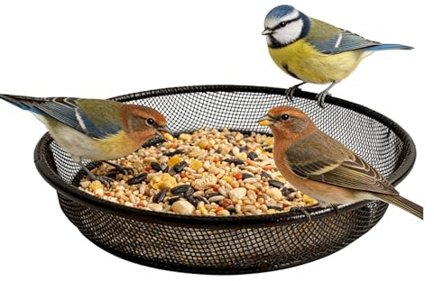 Bandeja para Aves,Plato de Malla para Alimento - Bandeja de Metal Inoxidable de 17.5x16.3x3.3 cm | para Gorriones, Agapornis, Balcón, Jardín, Patio, Terraza,
