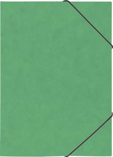 BRUNNEN Ringbuch A4 2R 15mm Gummizug grün