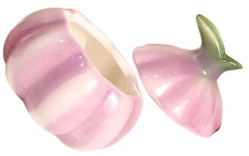 OFFSCH Vaso in Ceramica Per Tè Sfuso e Cipolle Contenitore Per Alimenti Coperchio Adatto Per Caffè Uova Biscotti e Snack