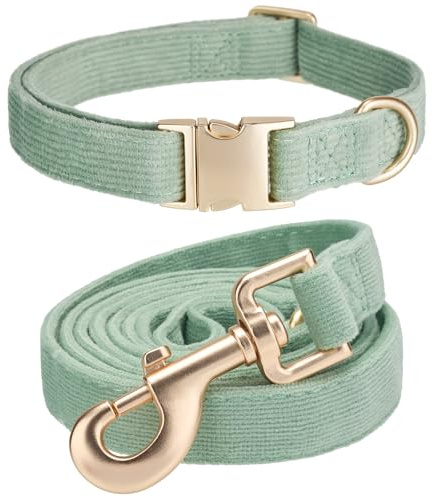 YUDOTE Juego de collar y correa para perro, pequeño, suave, no irritante, de pana, a juego, para caminar diariamente, color verde salvia