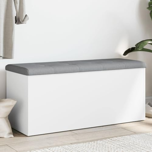 Rantry Panca Portaoggetti Bianca 102x42x45 cm in Legno Multistrato, Cassapanche e Bauli per Esterni, Contenitore da Giardino, Porta Attrezzi da Giardino, Pouf da Esterno, Cassapanca da Esterno