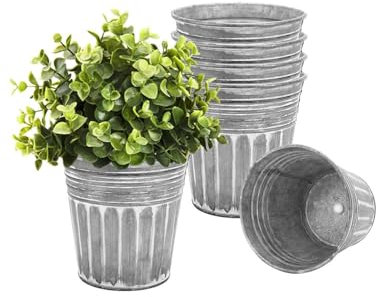 vensovo Galvanised Metal Plant Pots for Indoor Outdoor Use – 6Pcs Rustic Flower Planters with Drainage Hole & Plug, Silver Herb Pots, Small Garden Buckets for Succulents & Flowers, 15.24 CM