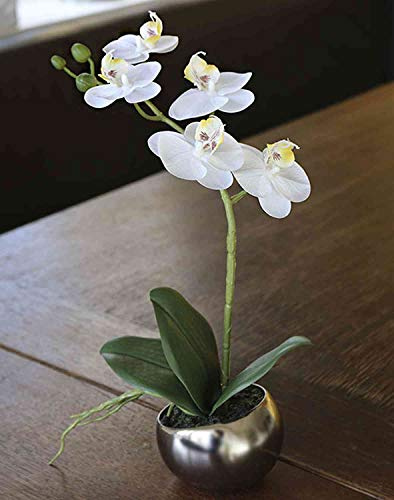 artplants.de Orchidea phalaenopsis Decorativa ZARMINAH in Vaso di Ceramica, Bianco, 35cm - Orchidea Finta - Fiore di Simulazione