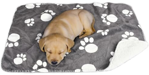 Kritter Planet wasserdichte Decke, Hundedecke Wasserdicht Kuscheldecke Flauschig für Unterwegs Auto Rückbank Sofa, Sofabezug Hund Decke Couch Schutz Katze Waschbar, 50x75(Pfote)