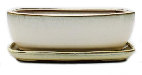 Bonsai-Schale mit Unterteller Gr. 5 - Hellbeige - rechteckig - Modell GB5 - L 31cm - B 25cm - H 10cm