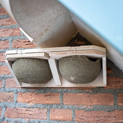 CJ Wildlife House Martin Nest Box – Bird Box for Garden – Woodstone Grey Wood and Concrete – Easy Clean Slide-Out Nests – FSC® 100% Wood