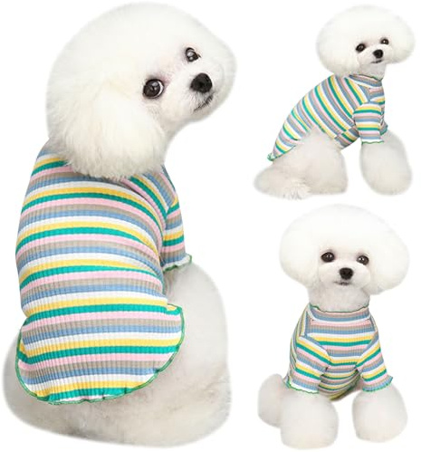 Yaopelky Vêtements pour Chiens de Petite et Moyenne Taille – Chemise Extensible à Manches Longues pour Chien, Motif Rayures Arc-en-Ciel – T-Shirt pour Chat, Chihuahua, Yorkshire (Bord Vert, Taille S)