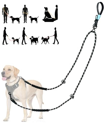 Tiesenci Laisse 2 Points Mains Libres Anti-Traction Noir Grands Chiens