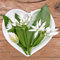 50 Pc Semi Di Aglio Orsino Biologico - Allium Ursinum - Orto Di Erbe Aromatiche, Semi Di Verdure Biologiche Acquistare Semi Di Piante Di Aglio Selvatico, Copertura Del Terreno, Semi,