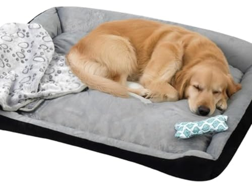 Cama ortopédica para Perros | Suministros Lavables de Felpa para Mascotas | Cama Gruesa para Perros y Gatos | para Cachorros, Gatos, Mascotas pequeñas, Medianas y Grandes, Interiores, Sala de Estar