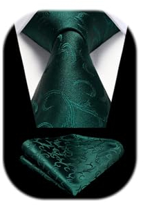 HISDERN Grün Krawatte Hochzeit Paisley Krawatten Taschentuch Blumen Elegant Klassisch Krawatte & Einstecktuch Set