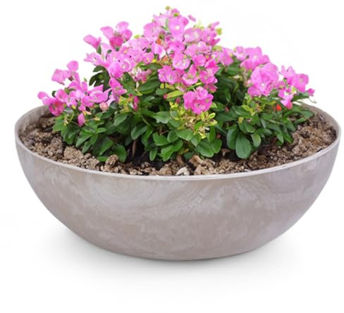 Matches21 Pot de fleurs pour l'extérieur – Grand bac décoratif vintage sable beige marbré comme pot de fleurs – 37 x 10,5 cm comme bain d'oiseaux, décoration de balcon ou de cimetière