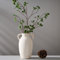 PORCER Vaso in ceramica, vaso in terracotta con manici, vaso decorativo bohémien, vaso rustico per decorazione domestica, fattoria, soggiorno, tavolo, beige