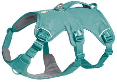 Ruffwear, Web Master Dog Body Harness, River Rock Green, Medium