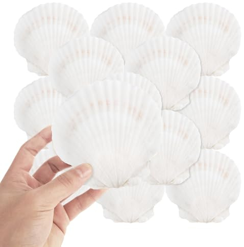 LDHHYH 24 Pack 4-5 Inch White Sea Shells, White Scallop Shells, Large Natural Sea Shells for Crafts DIY, Seashell Beach Decorations for Home Decor Baking Cooking Serving Food