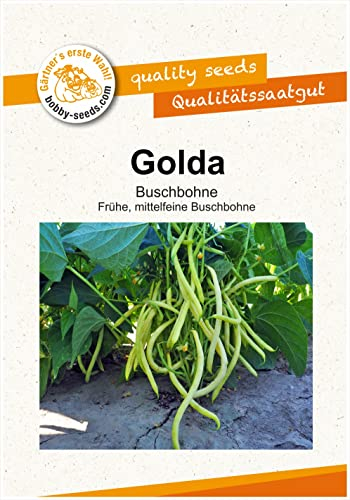 Bohnensamen Golda Buschbohne Portion