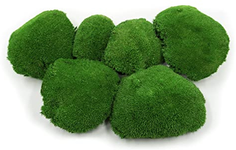 Musgo esférico, musgo preservado en 3 colores diferentes, producto natural auténtico y duradero para hacer manualidades, cubre 30 x 30 cm de superficie - 0,10 m² (verde medio)