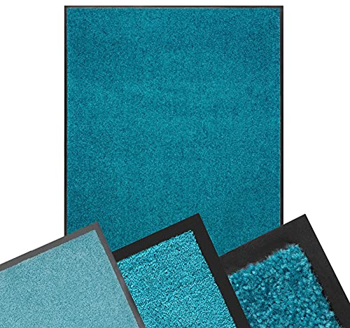 Schmutzfangmatte TÜRKIS - XXL Teppich für Flur Eingang Eingangsbereich innen & außen - Türmatte Sauberlaufmatte Fußabtreter Fussmatte - rutschfest & pflegeleicht (90 x 120 cm, Rhine)