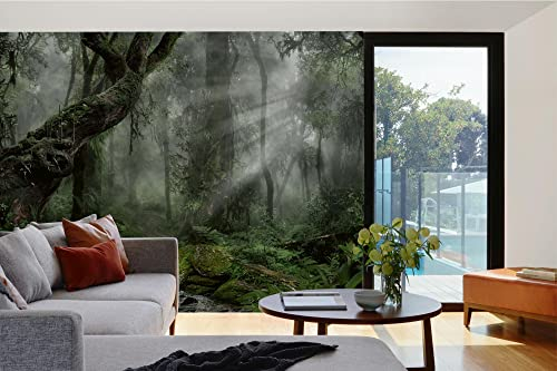 Vlies Fototapete WALD IN DER DUNKELHEIT 375 x 250 cm (inkl. Kleister) - Vlies Tapete, Wandtapete, Wandbilder - Tapete für Wohnzimmer Schlafzimmer, Büro, Küche - Montagefertig