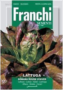 Franchi Romaine Lettuce Rouge d'Hiver