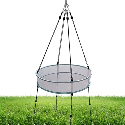 Alimentador para pájaros al aire libre - Bandeja de alimentación de malla antiviento de 51 cm | Distribuidor de aves silvestres suspendido Antivent - para la observación de pinzones y colibríes en Le