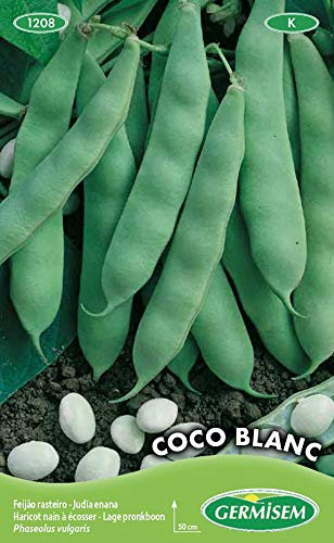 Germisem Coco Blanc Graines de Haricots Français 100 g EC1208 Multicolore
