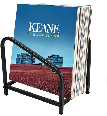 mimzemamz Vinyl Schallplatten Aufbewahrung, Metall Schallplattenständer für Alben Bücher Zeitschriften Organisieren, Vintage Schallplattenregal bis zu 15-30 LP, Schwarz