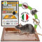Albagarden - Trappola Per Topi Super Adesiva Professionale con Esca e con Aroma al Formaggio - Tavoletta con Colla Per Topi - Cattura Roditori, Talpe, Rettili, Ratti (2 Pz)