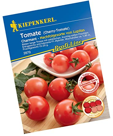 Kiepenkerl Profi-Line Cherry-Tomatensamen Charmant, F1 2870 - Fruchtig-süße Früchte - Wuchshöhe ca. 1,8 m - Gemüsesamen, Samen Gemüse, Saatgut