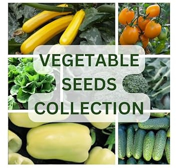 Nojus - Colección Exclusiva de Semillas de Verduras – 20 Sobres Herméticos - Kit de Inicio con Semillas Variadas de Hortalizas - Semillas para Huerto y Jardín - Caja de Semillas