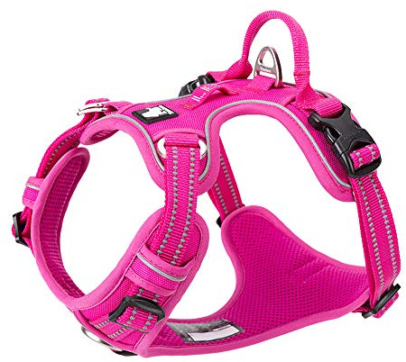 Truelove No-Pull No Overhead Reflective Dog Harness,Fuchsia, XL | Side Release Neck Buckle, Adjustable, Easy to Wear, 2 Lead Rings, Outdoor Walking, For Small Medium Large Dogs, TLH56512