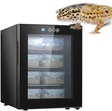 Incubatrice per rettili per uova da cova, controllo intelligente della temperatura e dell'umidità da 10 a 40 °C per piccoli uccelli come polli e quaglie