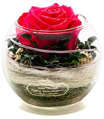 Rosen-Te-Amo Rose infinite, rose eterne, di alta qualità, conservate nel vaso di vetro, profumate, realizzate a mano con vera finitura decorativa, design raffinato, regalo di compleanno per donne,
