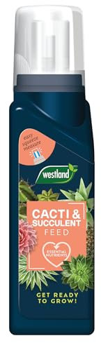 Westland Cacti & Succulent Feed Concentrate 200ml