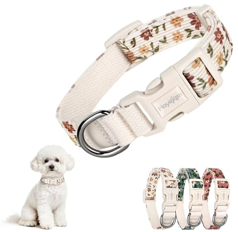 Collar Perro Pequeño Collares para Perros Ajustables 25-40cm de Pana-Algodón Dog Collar con Hebilla Motivo de Flore Accesorios para Gato Cachorros Perros Pequeños Medianos Adiestramiento(Amarillo)
