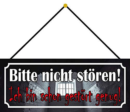 Blechschild 27x10cm gewölbt mit Kordel Bitte nicht stören Spruch Humor Lustig Sprüche Deko Geschenk Schild