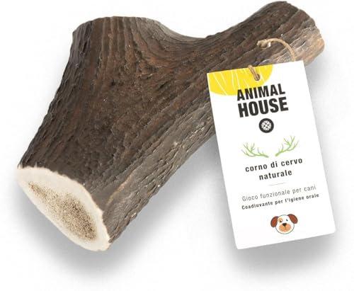 Animal House - Corna di Cervo per Cani Intere - Masticativo Naturale al 100% - Rafforza Igiene Orale - Resistenti e Duraturi - Disponibili in Tutte Le Taglie - Cruelty Free (XXL)