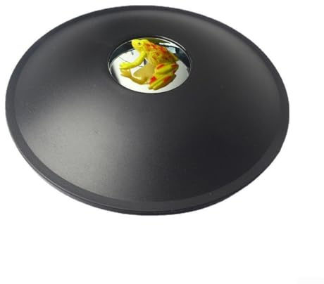 Projecteur holographique pour jeu éducatif, outil d'apprentissage scientifique pour enfants (grenouille jaune)