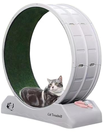 Cat Running Exercise Wheel, Cat Wheels for Indoor Low Noise Kitten Running Wheel with Brake for Pet Fitness and Health, 80cm