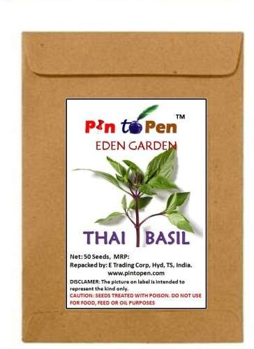 Thai Basil, Seme Basilico Seeds ONLY