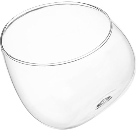 Veemoon Bol en Verre Biseauté 15 CM Terrarium pour Plantes Pot Écologique Transparent Ouverture Inclinée Micro-Paysage Décoratif pour Maison et Bureau Vase à Mousse pour Jardinage
