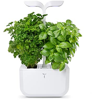 Véritable Potager d’Intérieur Exky® Classic (Blanc) - Fabriqué en France – Jardin Intelligent Compact et Autonome - Livré avec 2 Lingots®