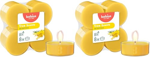 Bolsius, Set of 8 Maxi Fragrance Tea Lights, Mimosa, Long Burning Time of 8 Hours, Natural Extracts, Vegan Wax, Palm Oil Free, Yellow (Pack of 2)