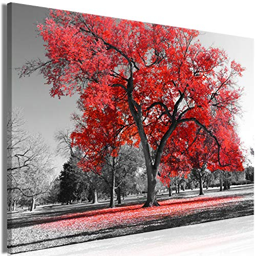 murando - Leinwand Bilder Baum 120x80 cm Leinwandbild 1 tlg Kunstdruck modern Wandbilder Groß XXL Wohnzimmer Wanddekoration Design Wand Bild - Bäume Natur Landschaft schwarz weiß rot c-B-0445-b-b