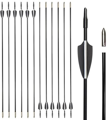 ZSHJGJR Bogensport Pfeile - 30 Zoll Glasfaser-Pfeile für Recurvebogen Training - Anfänger Pfeilset mit Gummifedern Empfohlen für Bögen bis 35 Pfund 12/24 Stück (Schwarz, 24 er)
