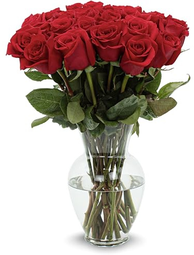 Stargazer Barn – 24 Stem Premium Red Roses Bouquet (Vase Included) - Hand-Tied in the USA - Fresh Flower Delivery for Birthday, Anniversary, Sympathy, Home Decor, Wedding, Mother's Day
