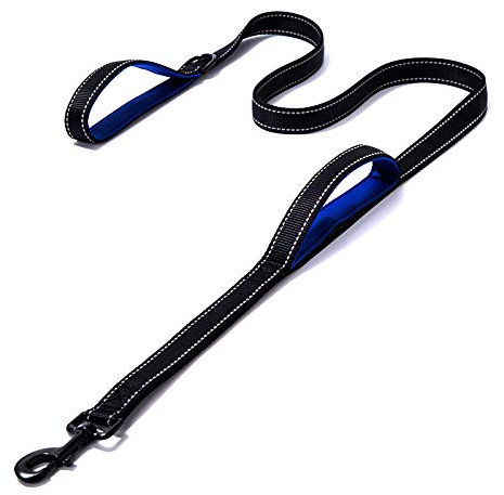 DDSColour Heavy Duty Dog Leash 1.8m/6ft Long with Comfortable Padded Handle Training Lead Reflective Mountain Climbing Rope Dog leashes Walking Training Leash for Medium Large Blue